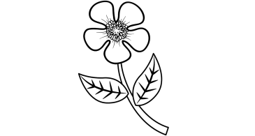 Desenhos de Flores para colorir